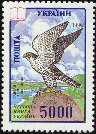 1433365163_falco_peregrinus_stamps.jpg